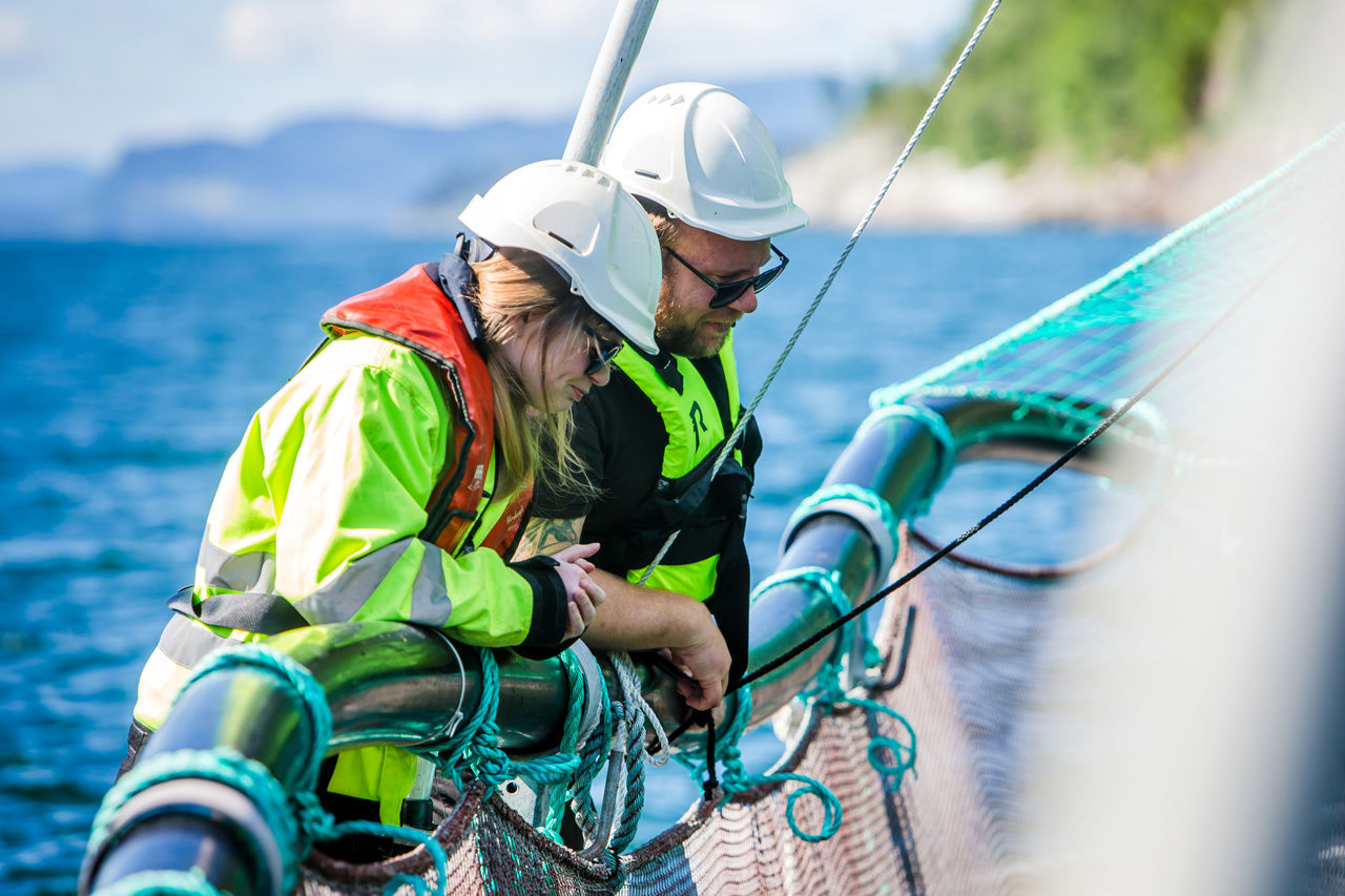 Besøk på eit oppdrettsanlegg