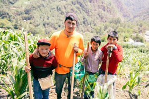 Bilete av ungdom i arbeid med avlinga i Guatemala